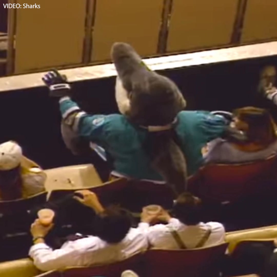 KNBR - On this day in 1992, S.J. Sharkie was birthed from... | Facebook