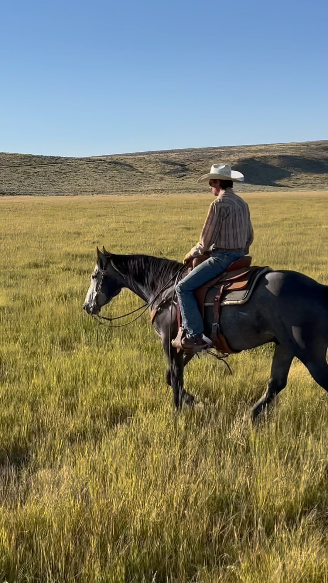 Good colts, green pastures and cool fall days starting to set in 🍂🍁 # ...