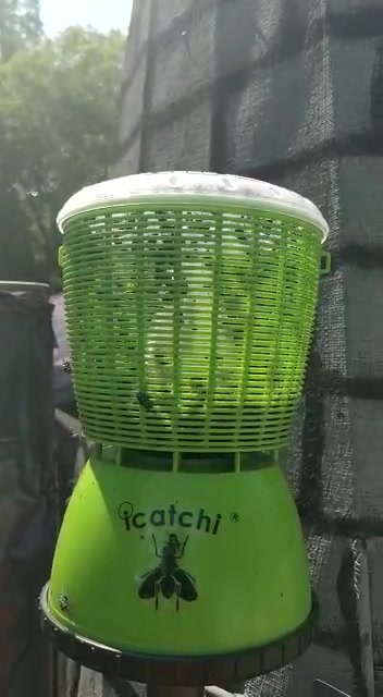 iCatchi fly trap on display... - Icatchi Flytrap South Africa | Facebook