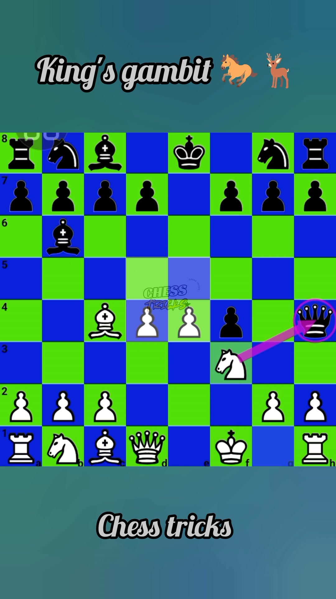 King's gambit 🐎🦌 #chess #chesspuzzle #bingonight #bingo #inspirational ...