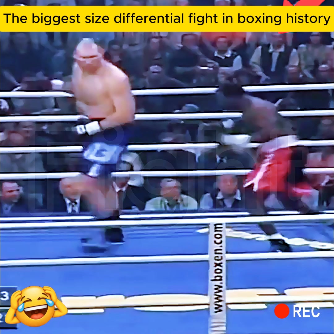 The biggest size differential fight in boxing hist | Rose Riviera Juicy ...