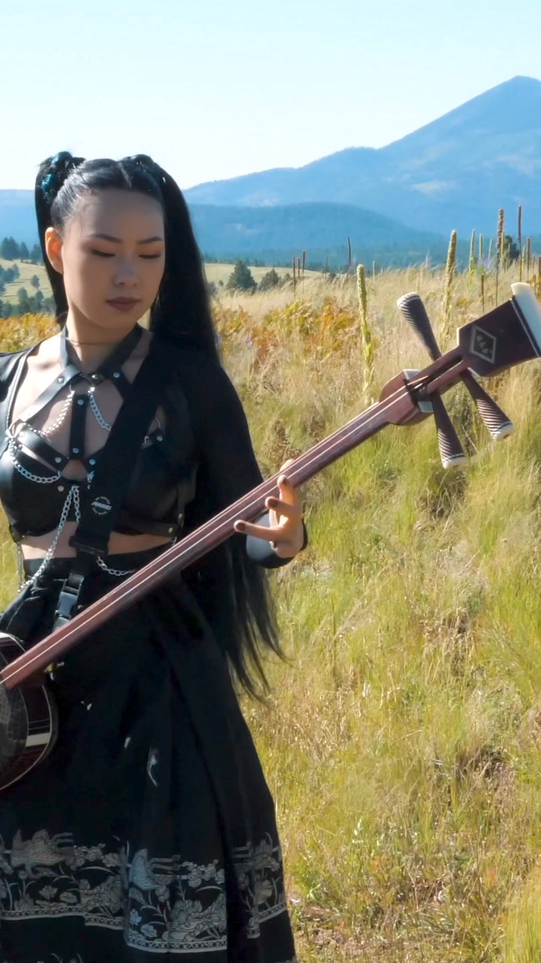 The cranberries - zombie (Asian folk metal cover) | Nini Music