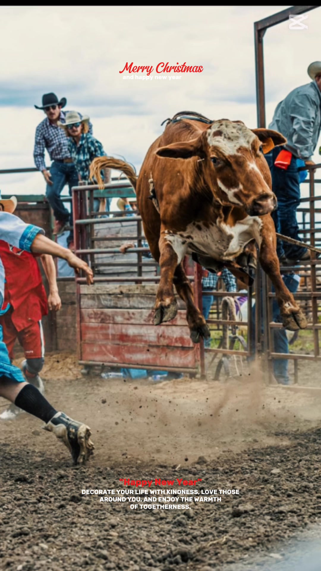 Top Line Rodeo