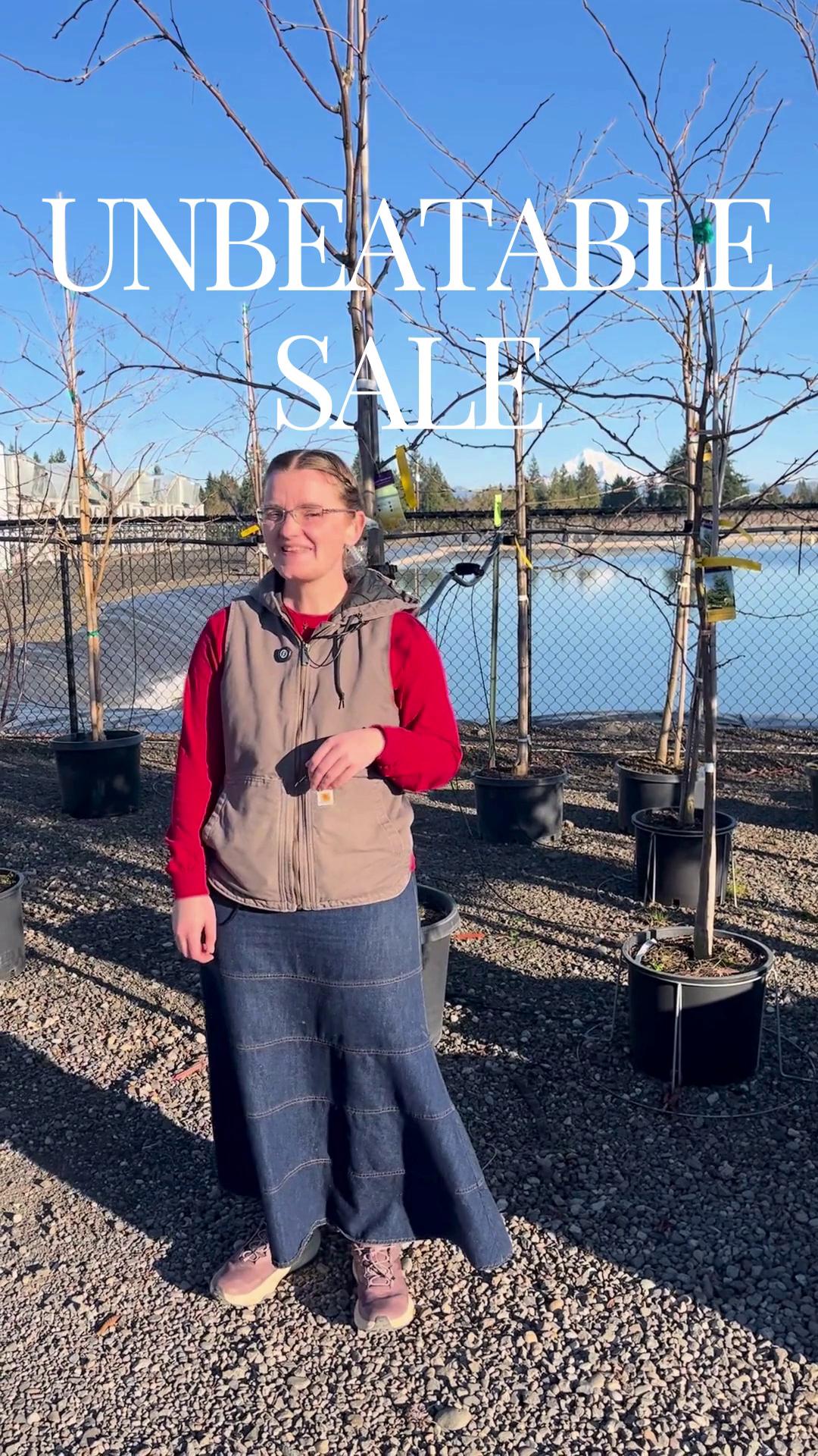 Our Shade Tree sale was awesome, but now it's unbelievable! Buy 1 Get 1 ...