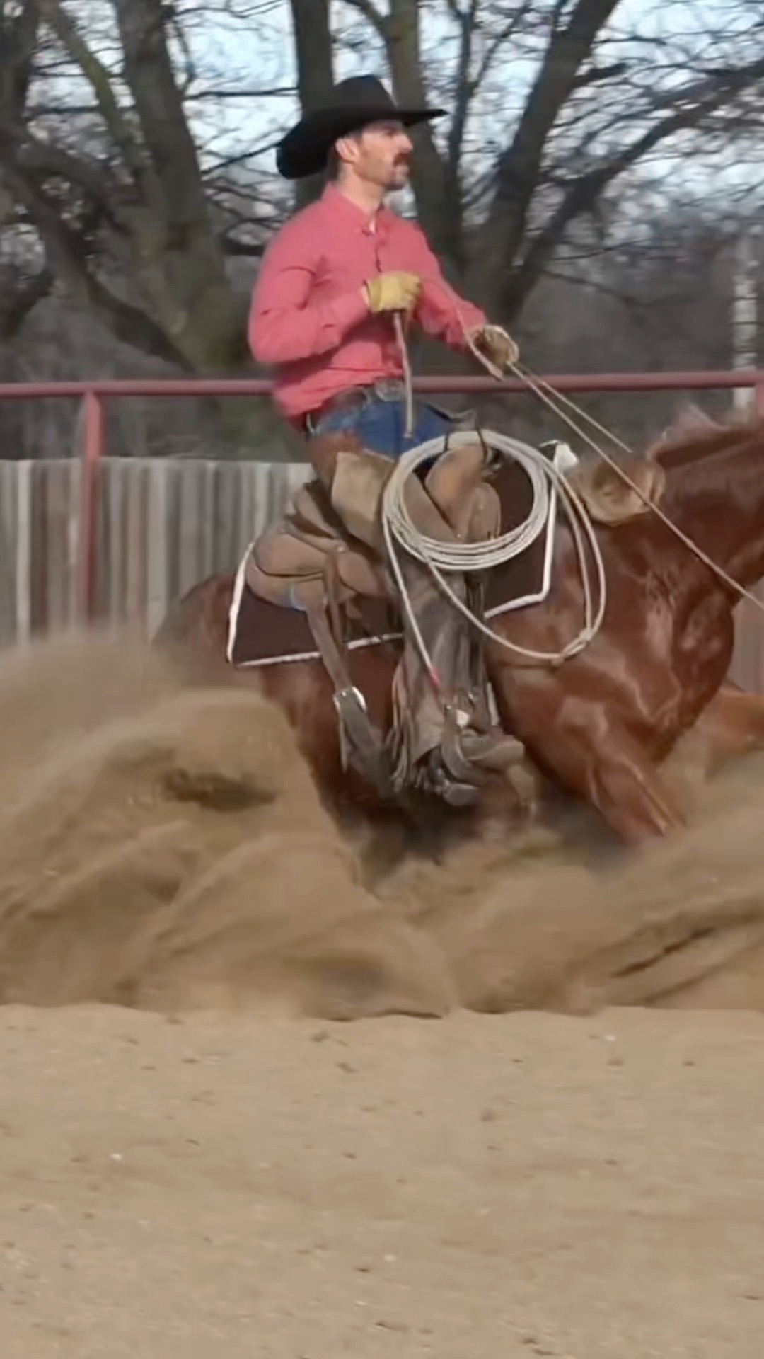 Lot #5 // COWBOYS REY A161 // 2021 Gelding // A Bar Ranch | FWSSR ...