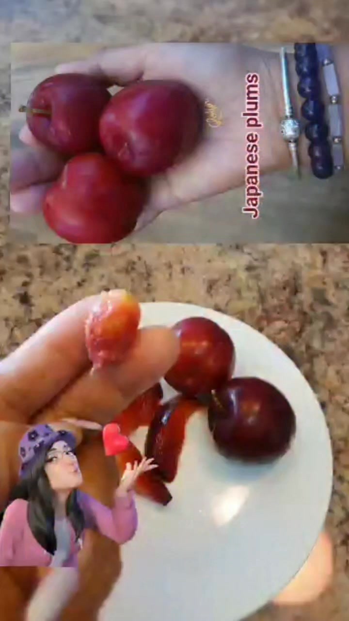 Hiromi red plum … Very good plum variety both in taste 👅 and