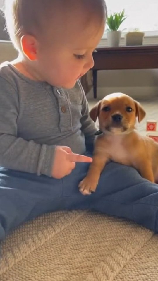 Baby Lectures Puppy Until They Cuddle It Out #parentlife #puppylove # ...