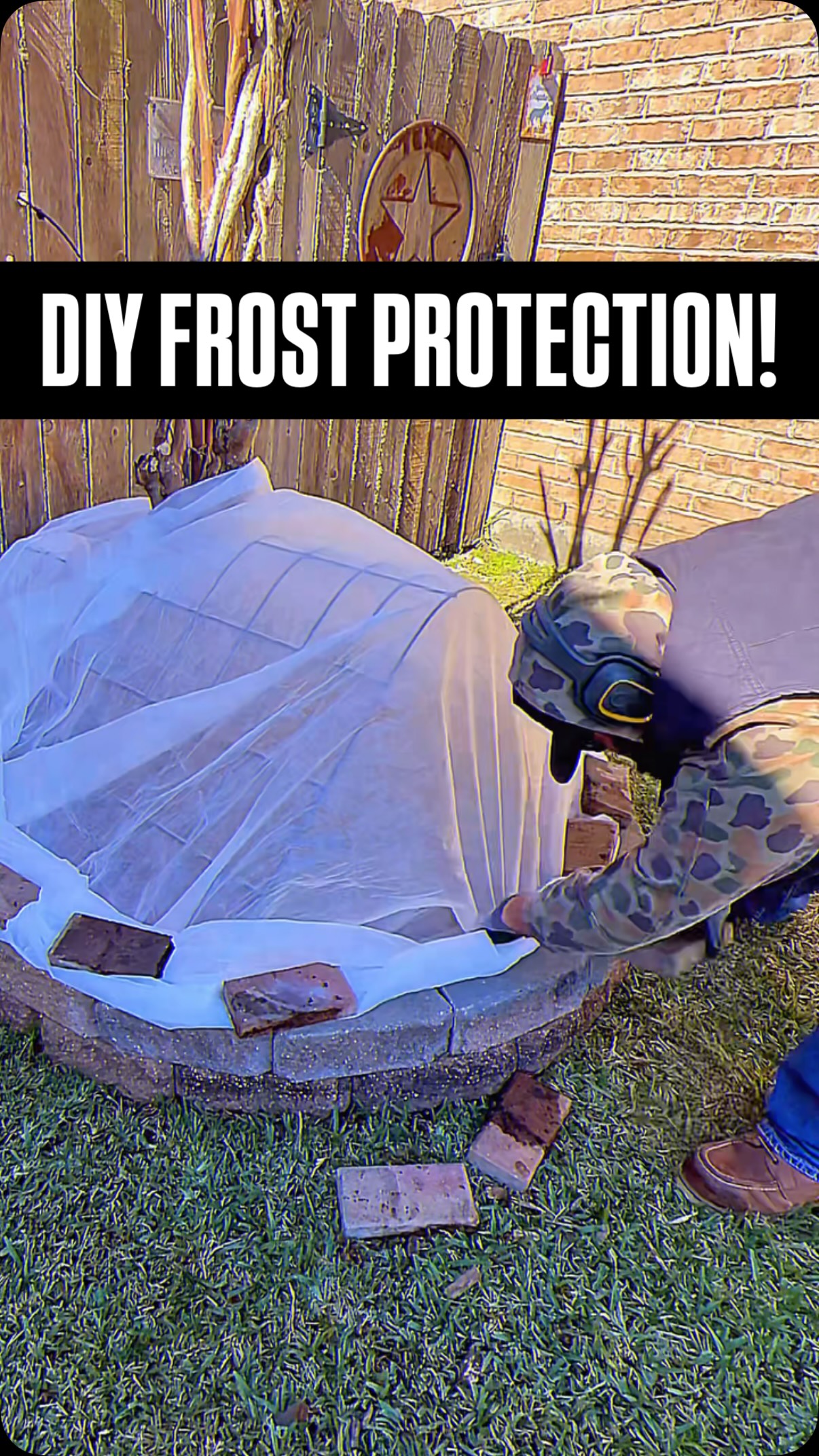 DIY Flower Bed Frost Blanket Protection! Comment ‘Frost’ for Link in ...