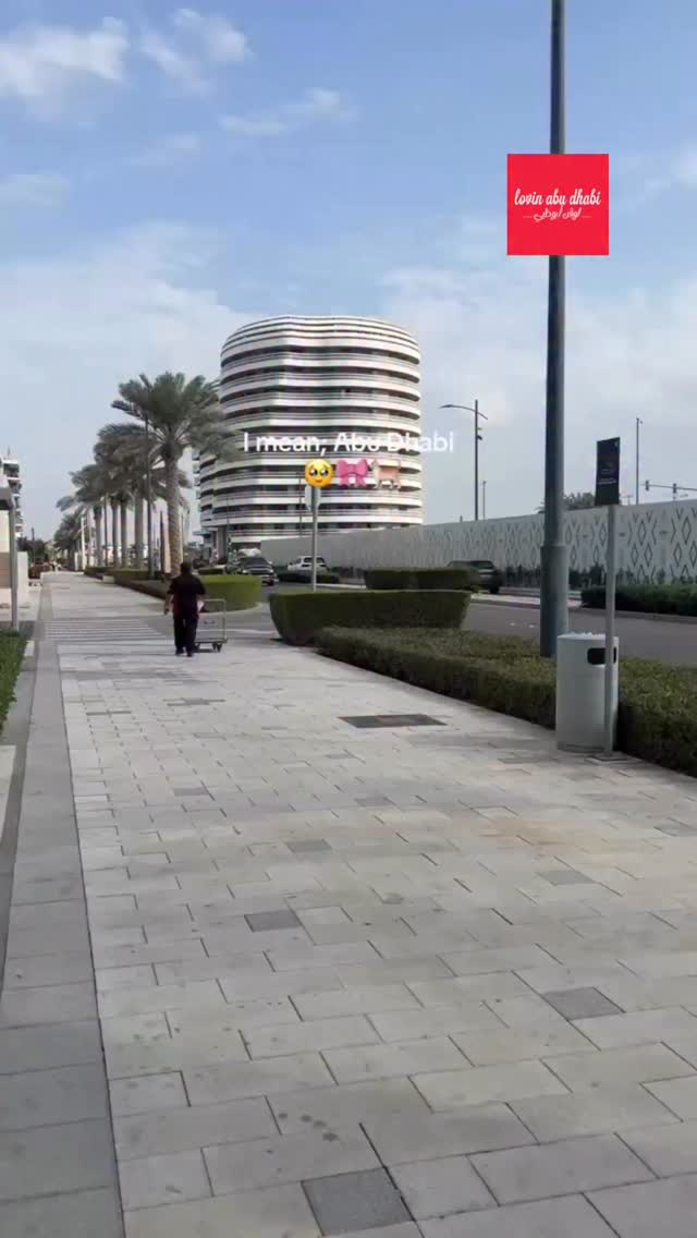 Abu Dhabi’s Animal Welfare team set up food and water for the cats on ...
