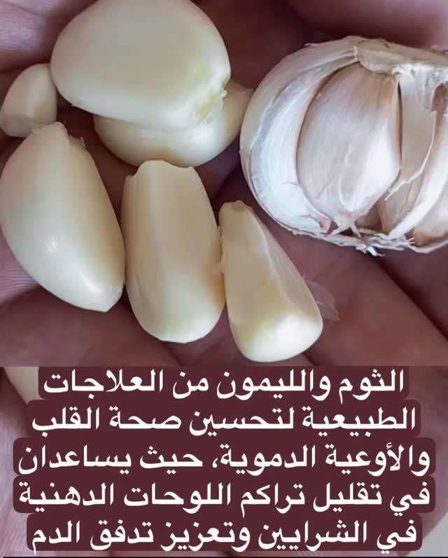 🍋🧄 الثوم والليمون… ثنائي طبيعي لصحة أقوى! يعزّزون المناعة يساعدون في ...