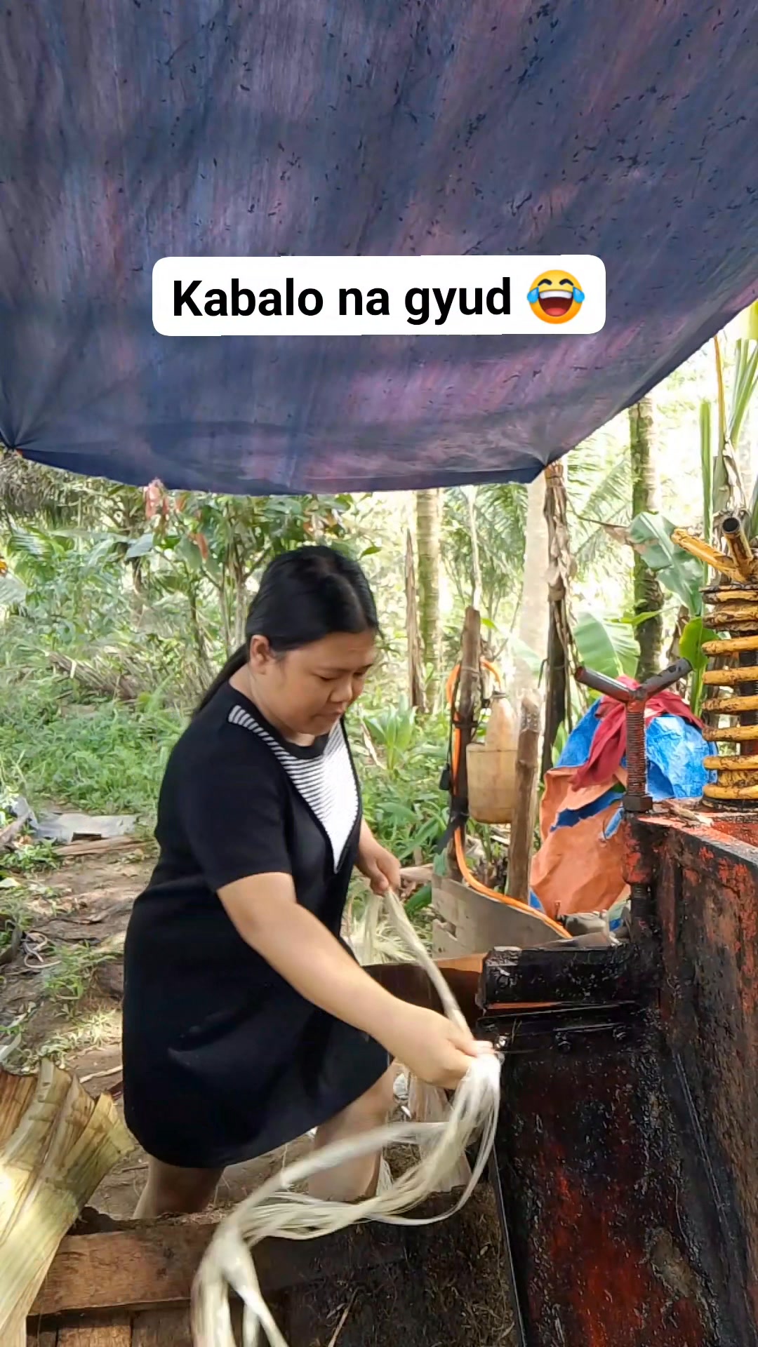 Basta korsunada makabalo Ra gyud kadogayan #abaca #trendingreelsvideo ...