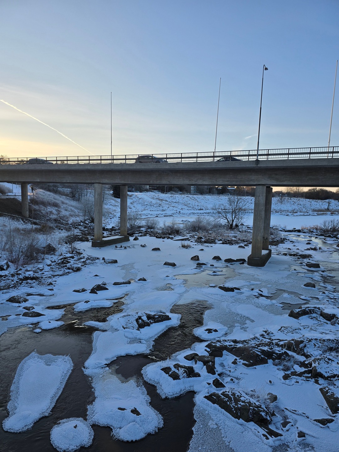 A small bird calmly swimming in an ice-cold frozen river. Nature never ...
