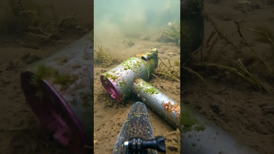 An Eel GoPro Found a Sunken Car Under a Paris River #AnimalPOV #GoPro # ...