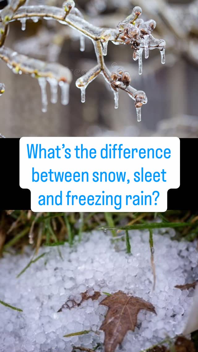 The difference between snow, sleet and freezing rain. | Jesse Hawila