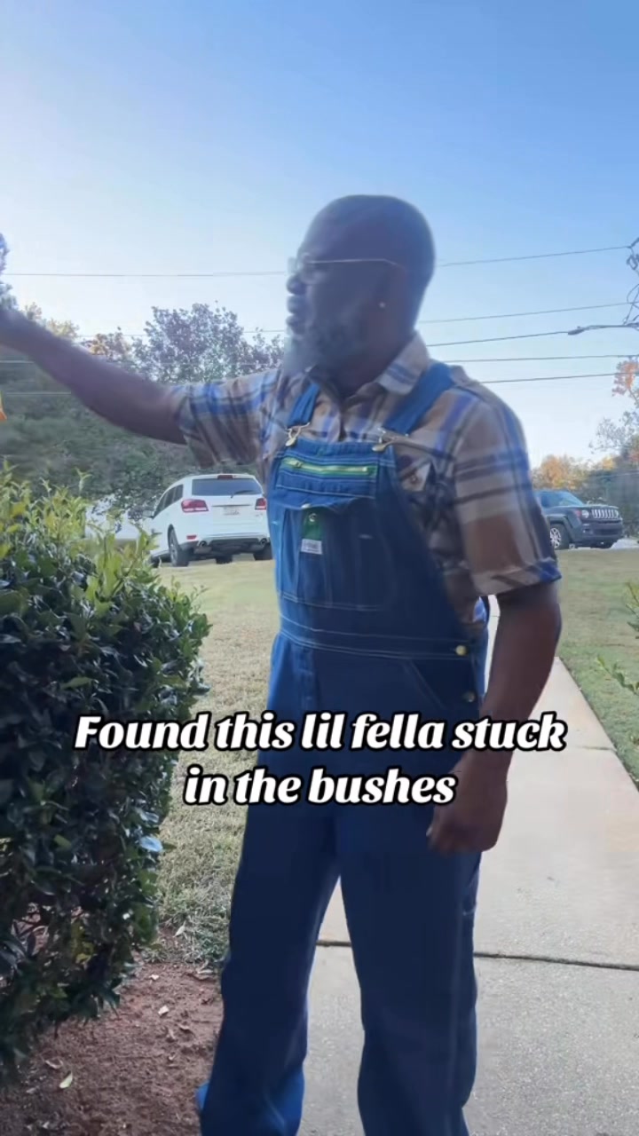 Had to save this lil fella #Rufus #comedy #mindingmybusiness | Rudi ...