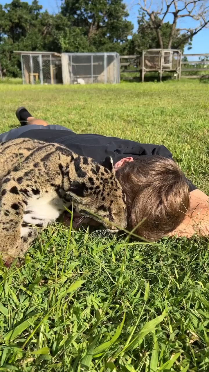 Jacob Feder | Miami FL