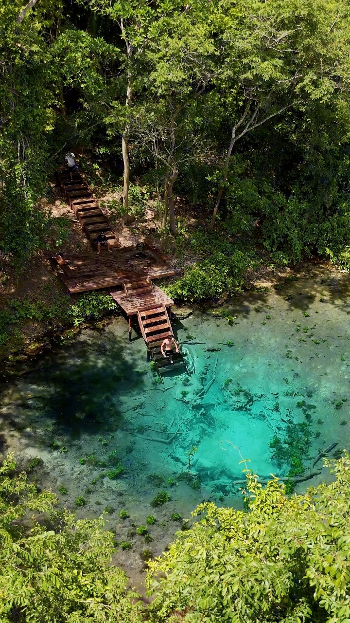 Brazil's untouched nature 🌳💚 #fblifestyle | Destinos Mato Grosso