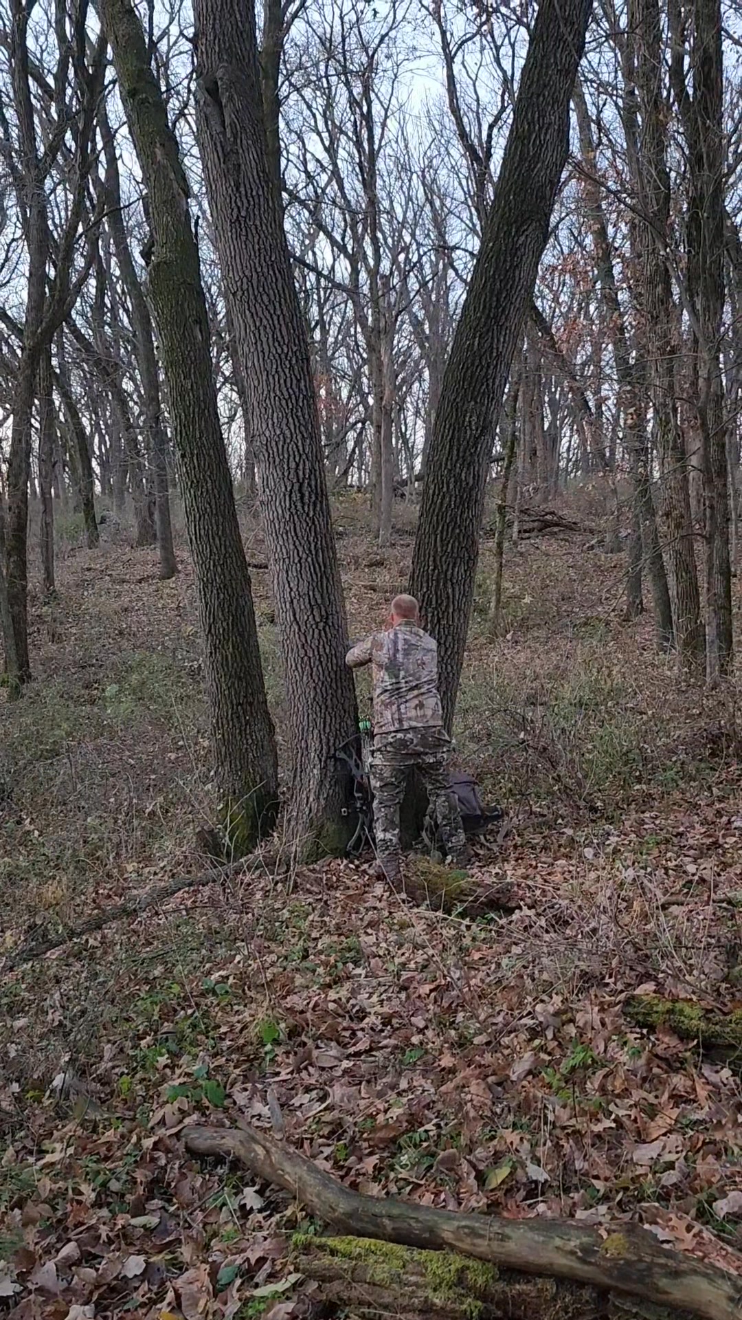 Many you tubers are starting to hunt they way Apex Predator Stands hunt ...