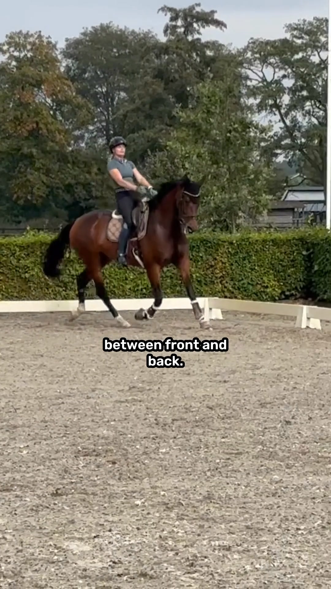 One moment you're riding, and the next moment your horse ''just ...