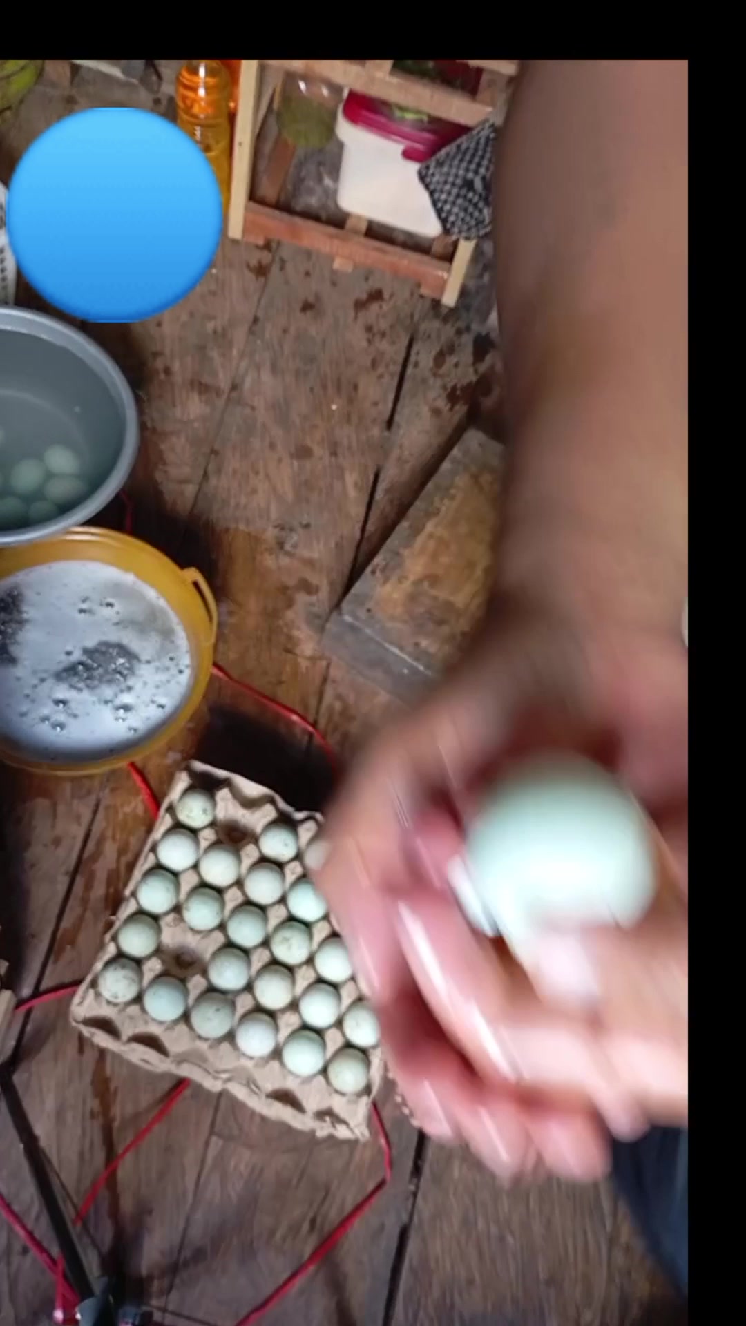 Curated visual reference: Gallery Detail: Salted Duck Egg Production Process Duckfarmer Reels