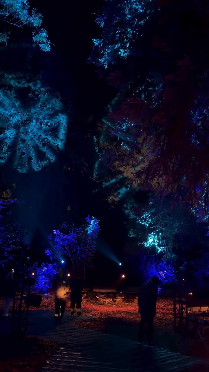 Merry Christmas Eve! 🎄Make sure to visit the SF botanical garden this ...