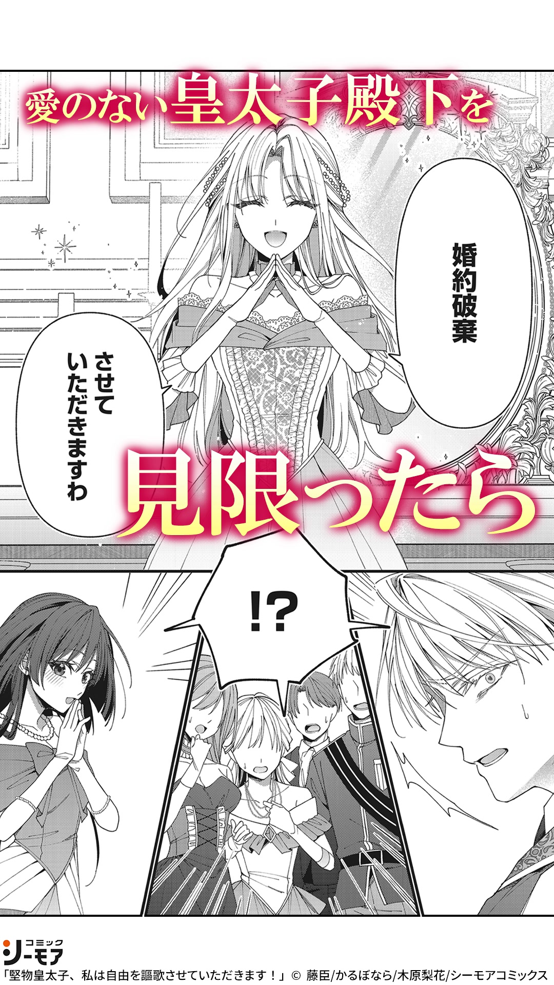 堅物 皇太子 私は自由を謳歌させていただきます pixiv