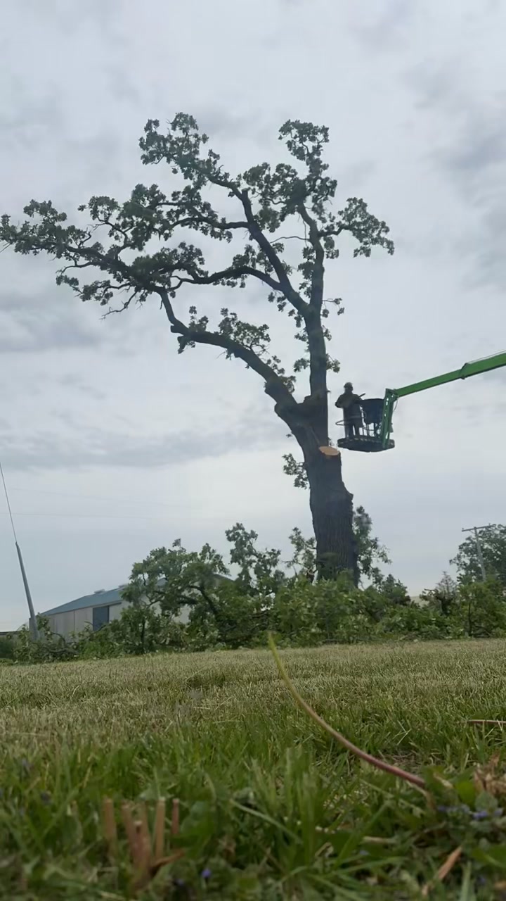 Fransen's Tree Service on Reels | Facebook