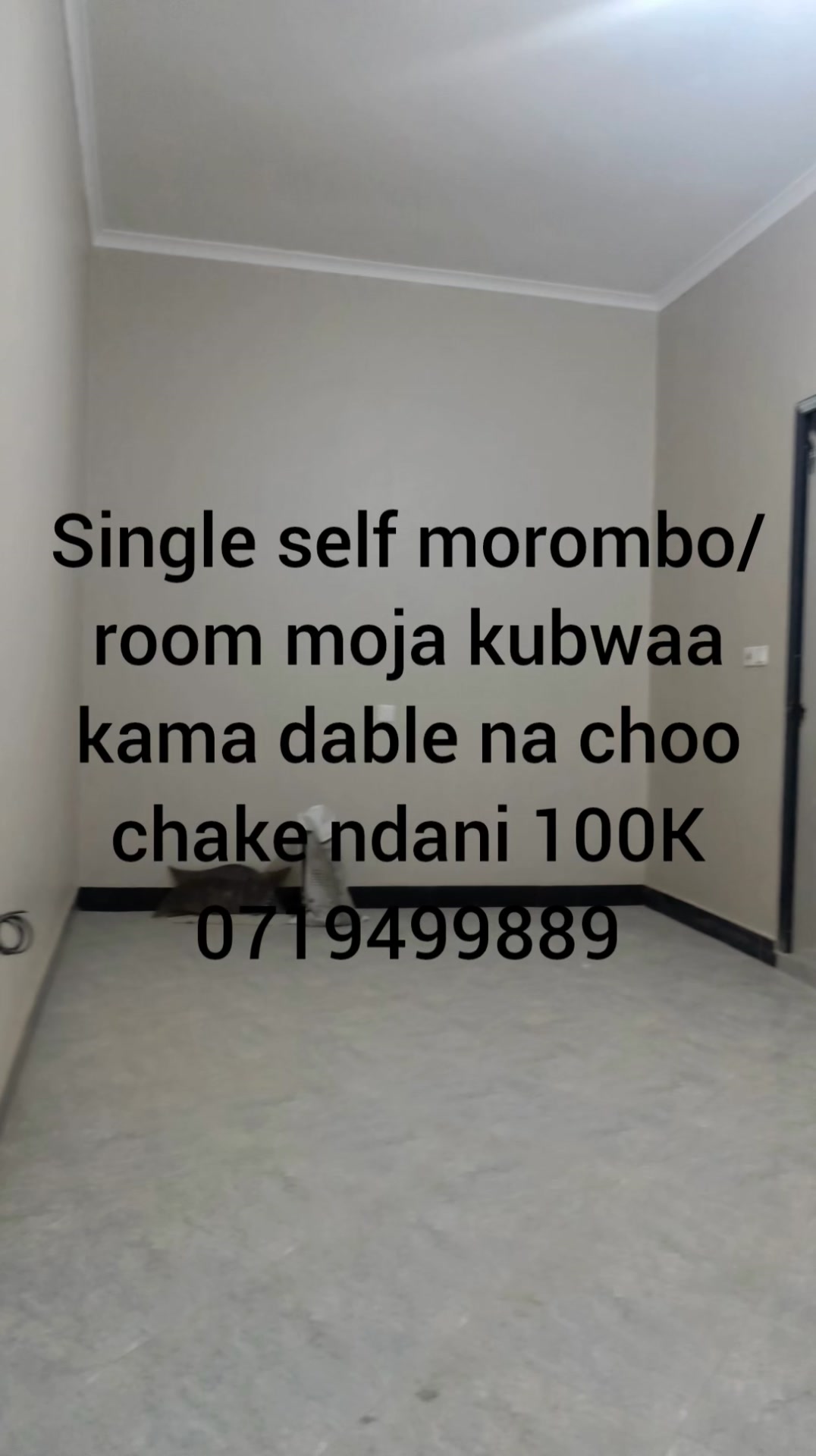 Single self Ya kupanga , Arusha , Morombo 100K Room moja kubwa na choo ...