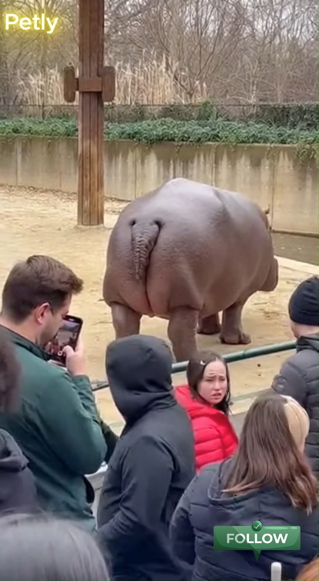Nobody warned us about this part of the zoo experience 💀💨 Lesson ...