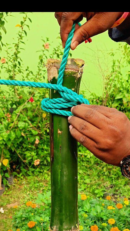 Learn how to tie a strong and reliable rope knot on a bamboo post in ...