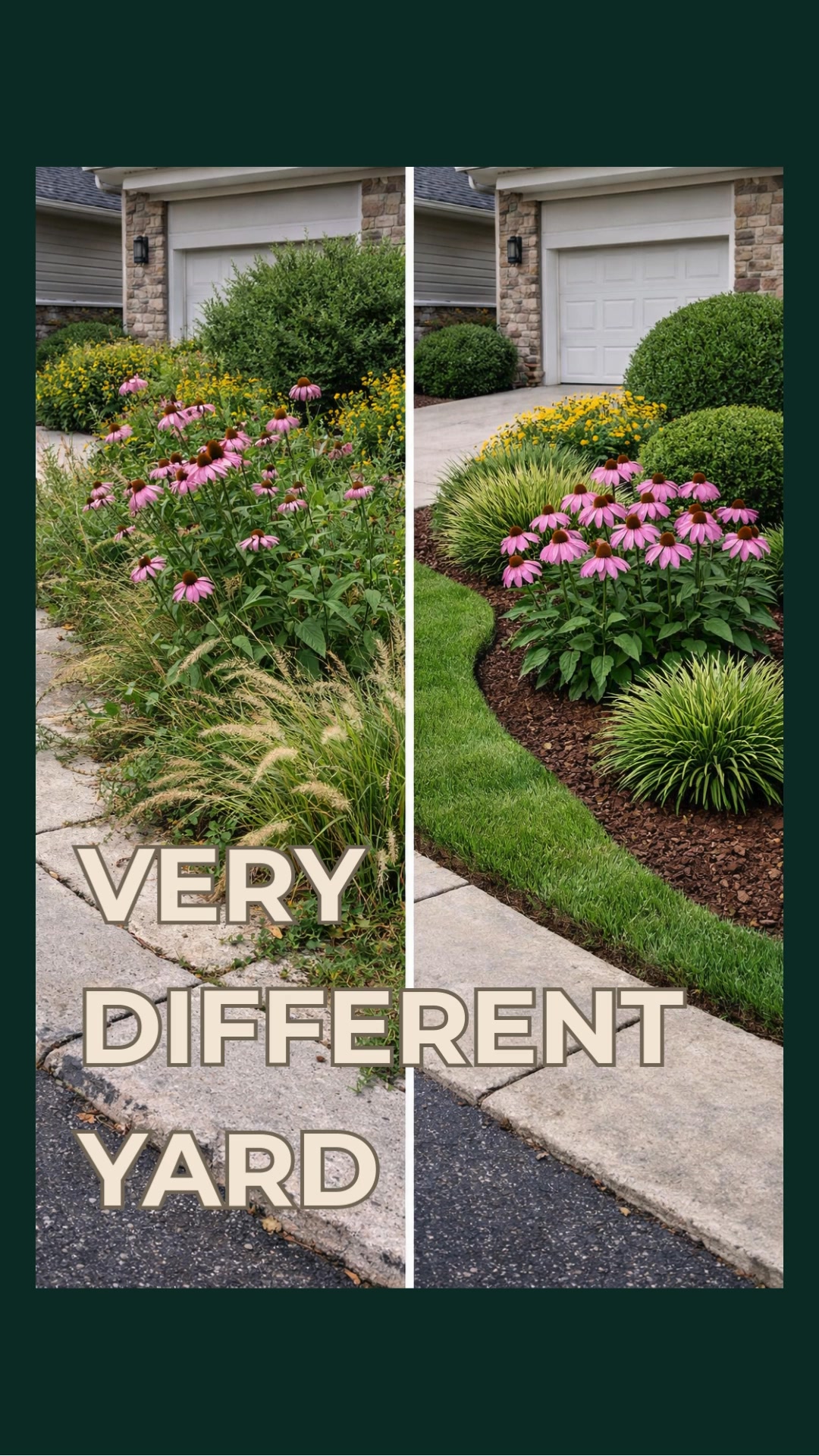 HOA-safe native landscaping is possible. Same plants. Better structure ...