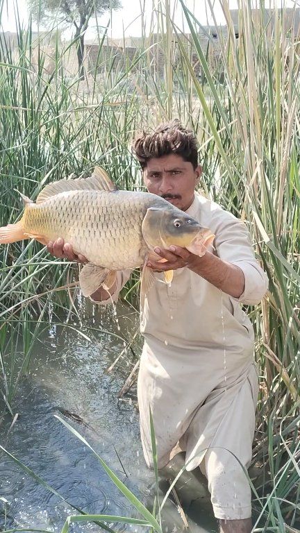 Sanaullah Fish Deelar | Garhi Yasin