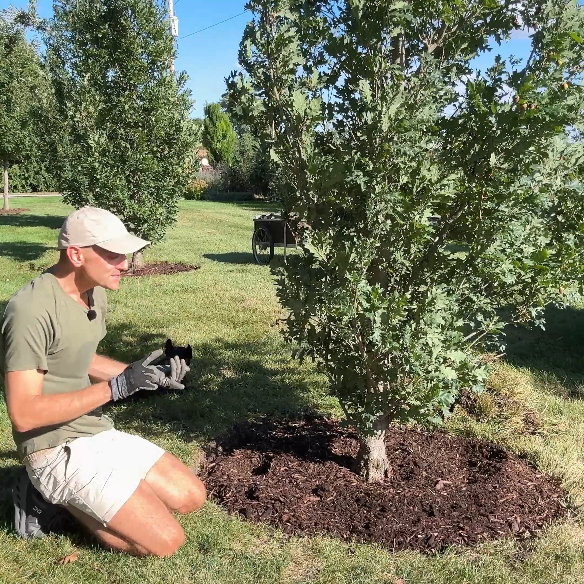 Even though it's fall, there are still some tasks to do in the garden ...