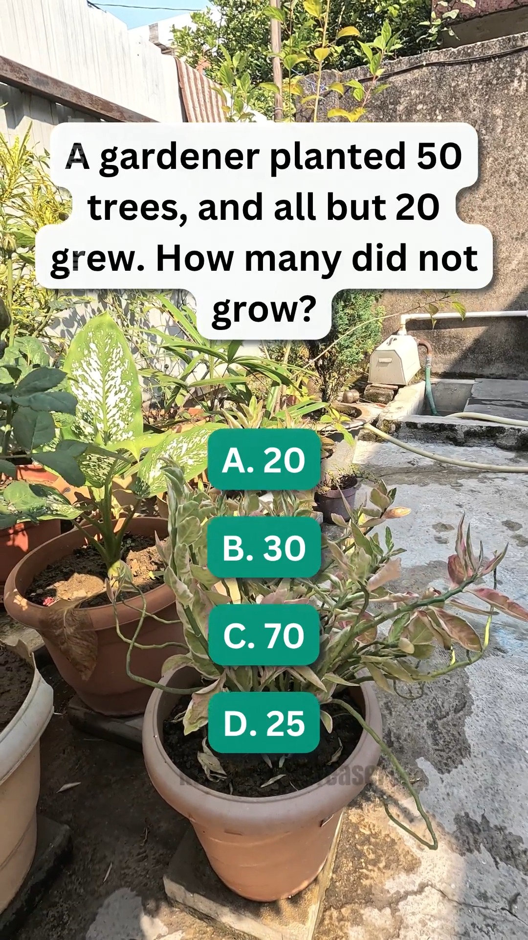 Try solving this tricky riddle: How many trees didn't grow? 🌳 # ...