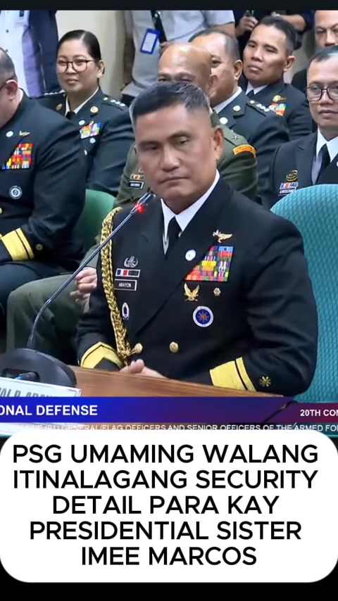WALANG SECURITY DETAIL SI SEN. IMEE Ayon sa Presidential Security ...