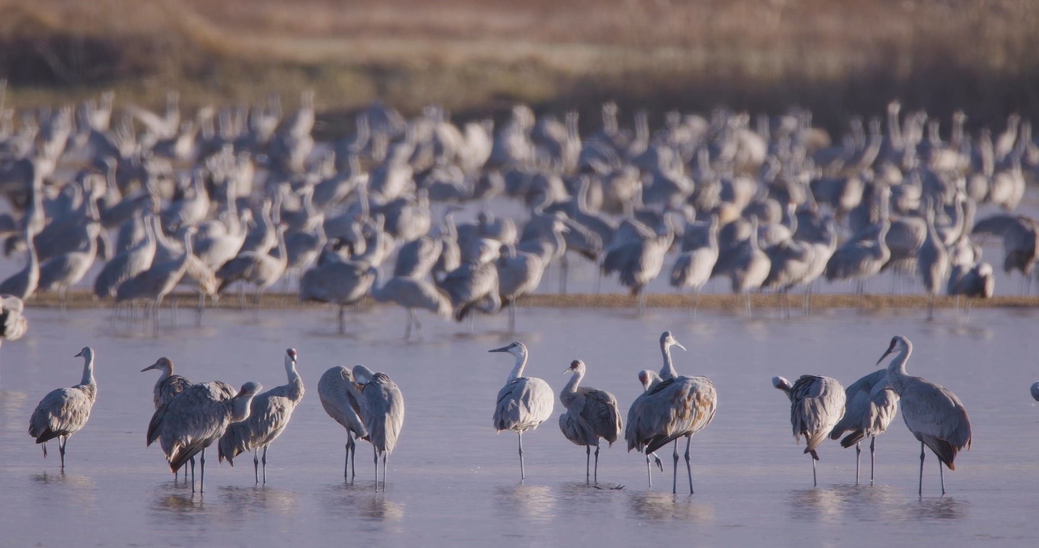 Visit Nebraska - Did you know? Each spring, Nebraska is...