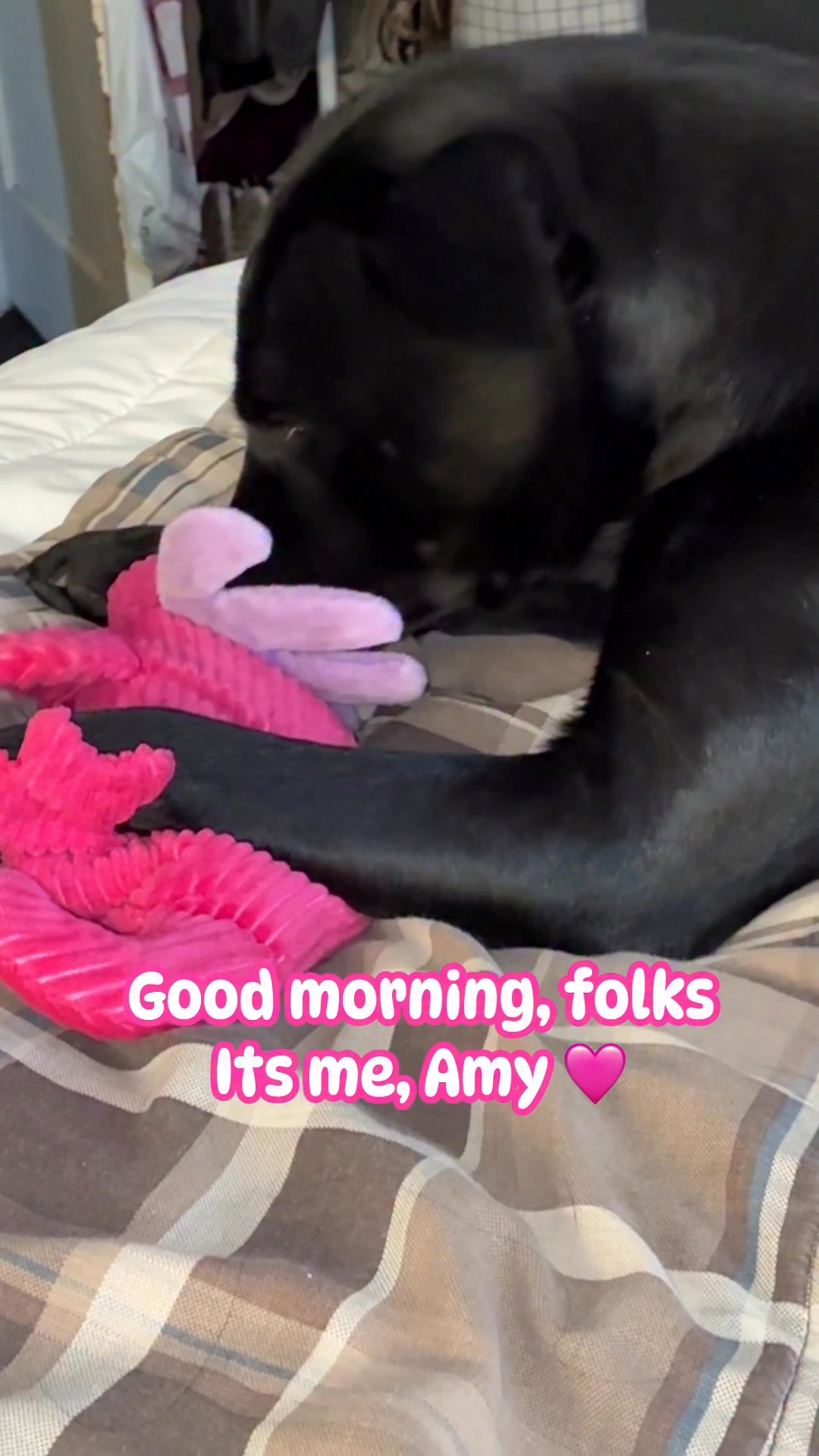 Hello , folks. Happy Friday🩷Amy loves her Christmas present she’s been ...