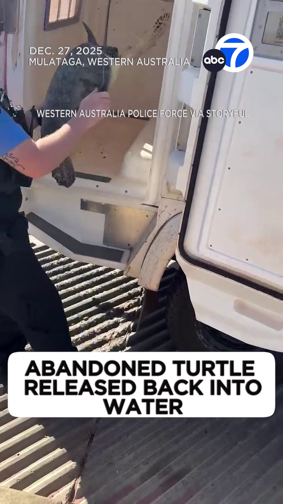 Police in Western Australia returned a sea turtle to its rightful home ...