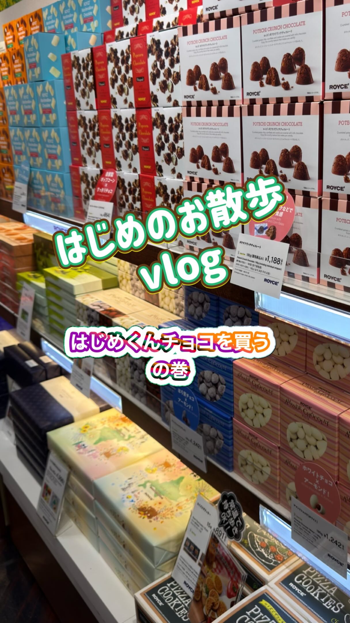 超貴重なカカオの生種 栽培用 20粒セット　8月31日発送予定 苗木・植木 ち*ろ様 超貴重なカカオの生種 栽培用 20粒セット 8月24日