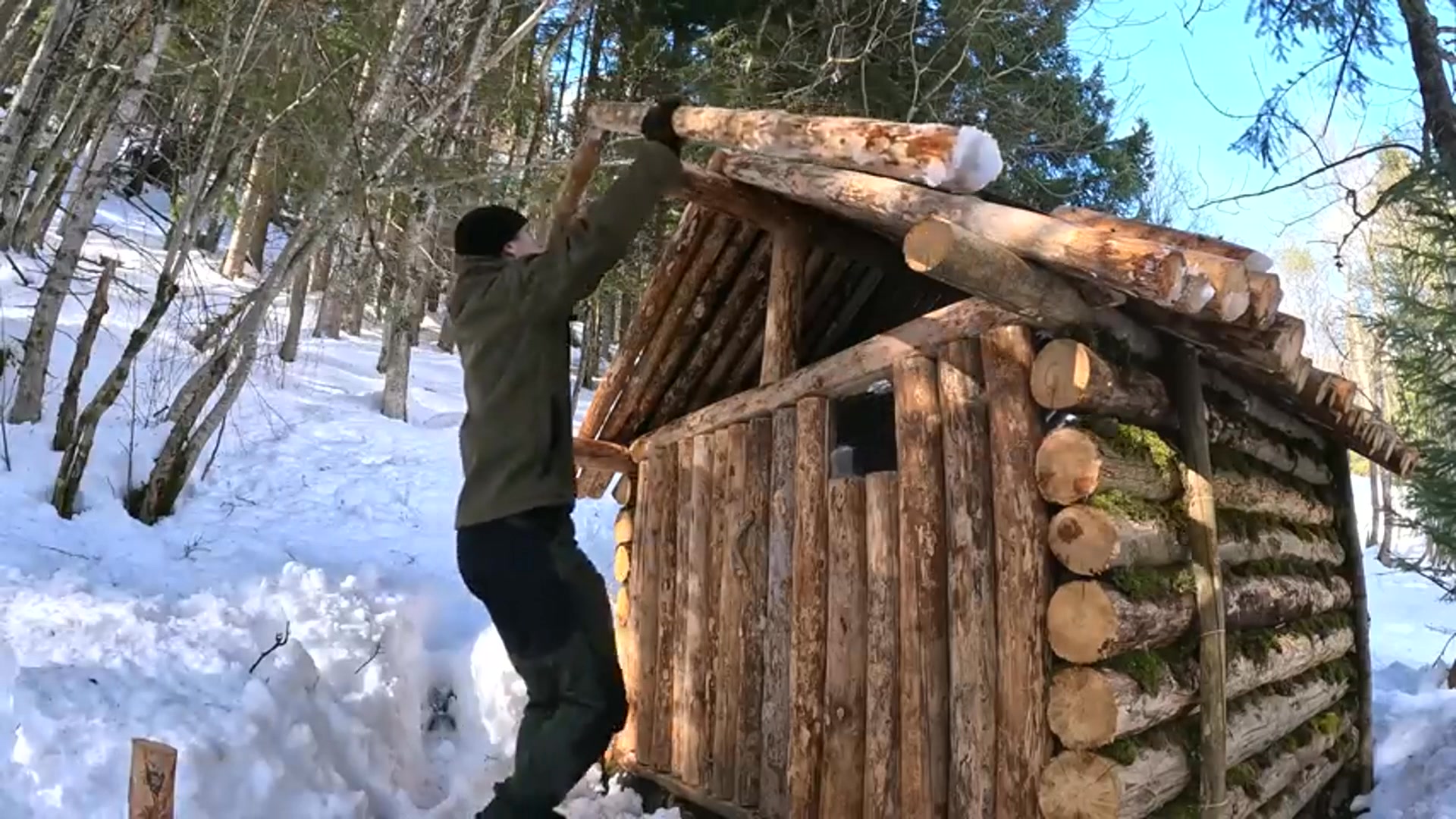 Building a Bushcraft Log Cabin for Survival - Catch & Cook - Start to ...