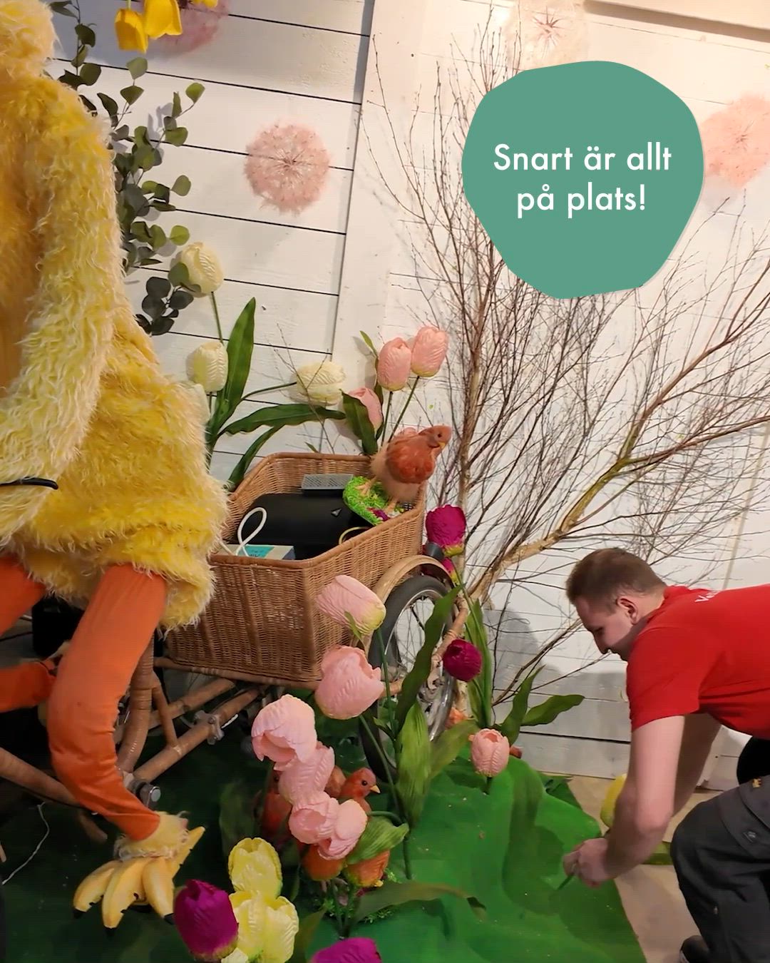 Nu börjar påsken verkligen ta form… 🌷 Sedan sist har ännu fler färger ...