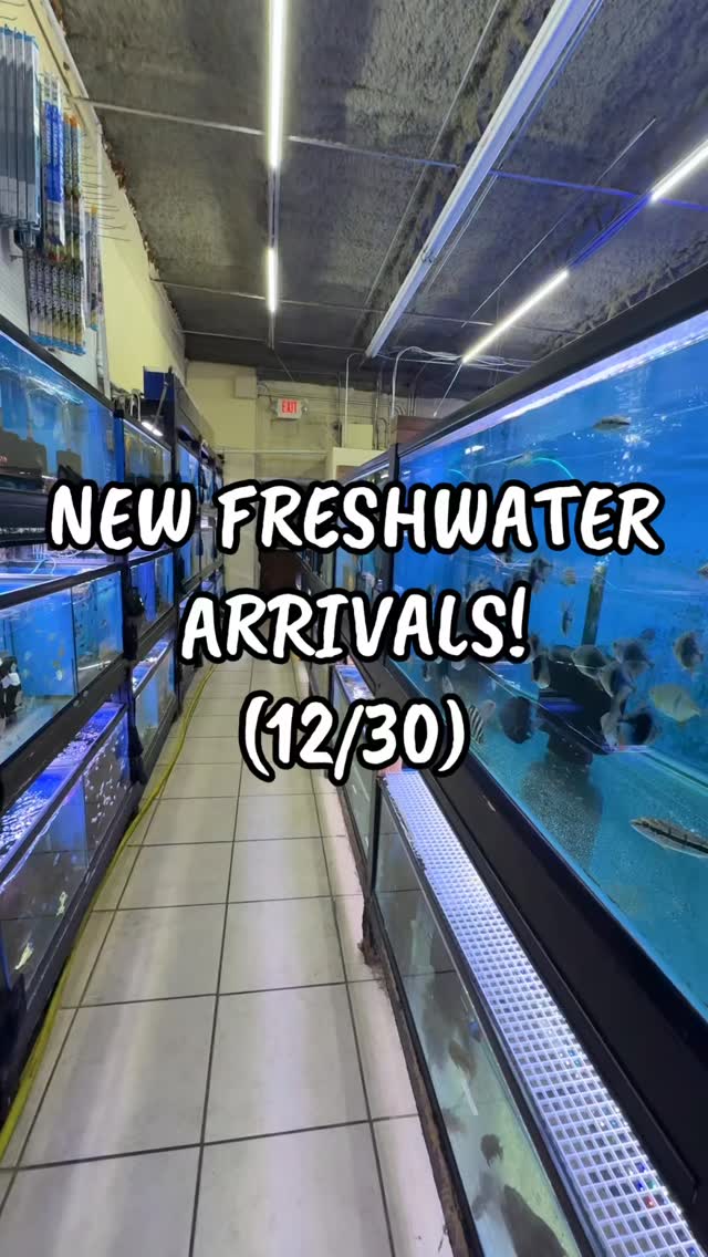 We’ve got a new shipment of dwarf cichlids, tetras, and more! Check out ...
