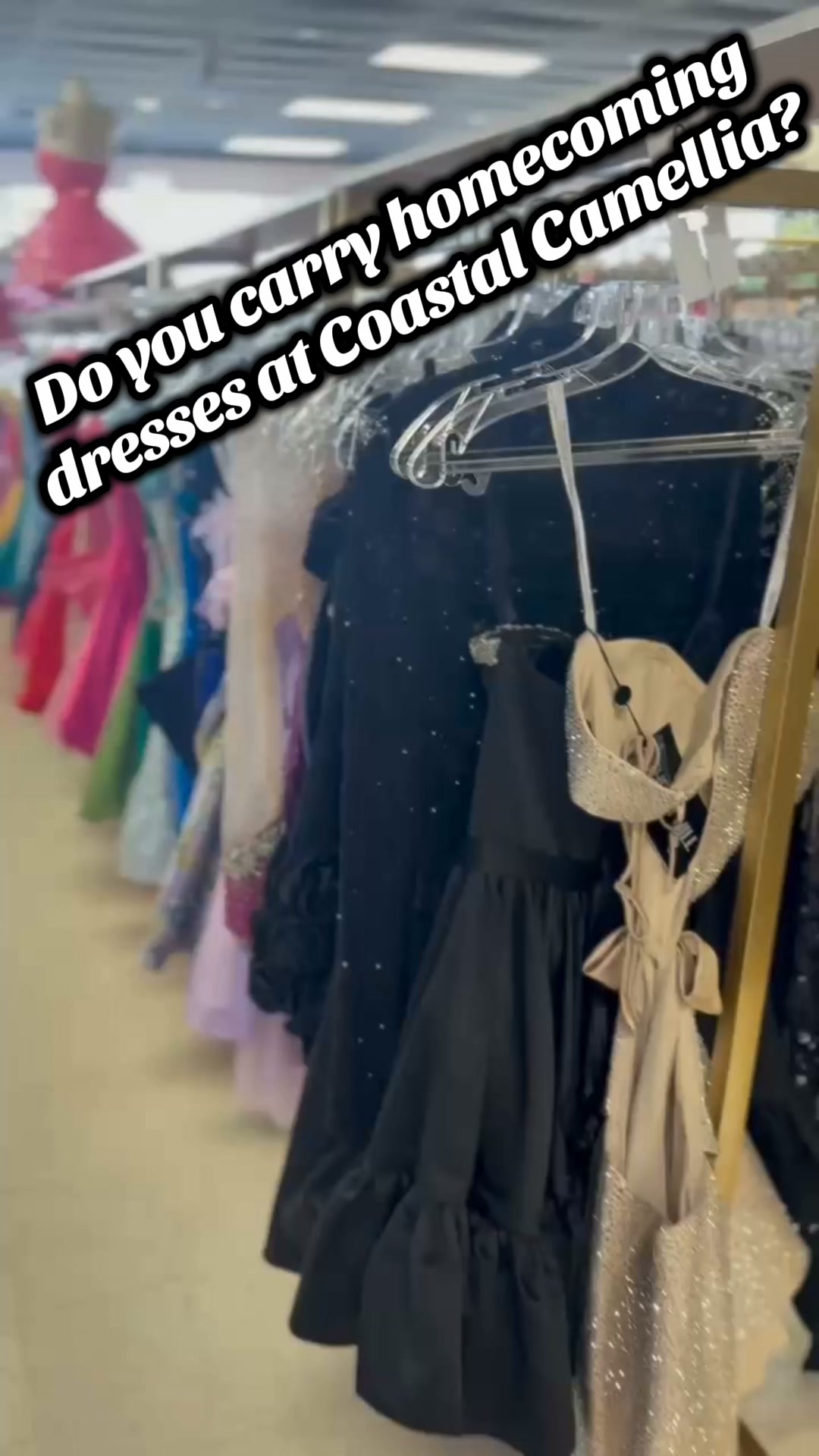 Coastal Camellia Formal Wear and Pageant Company is located right here in Foley, Al! We carry everything you need for your next formal event! | Coastal Camellia Formal Wear and Pageant Company