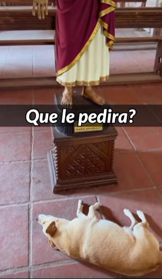 Michete Fernández🥰 | Israel Briceno | Facebook