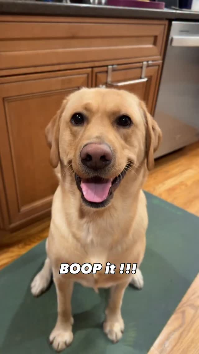 I heard you needed some cheering up 😃. Consider this your post-holiday ...