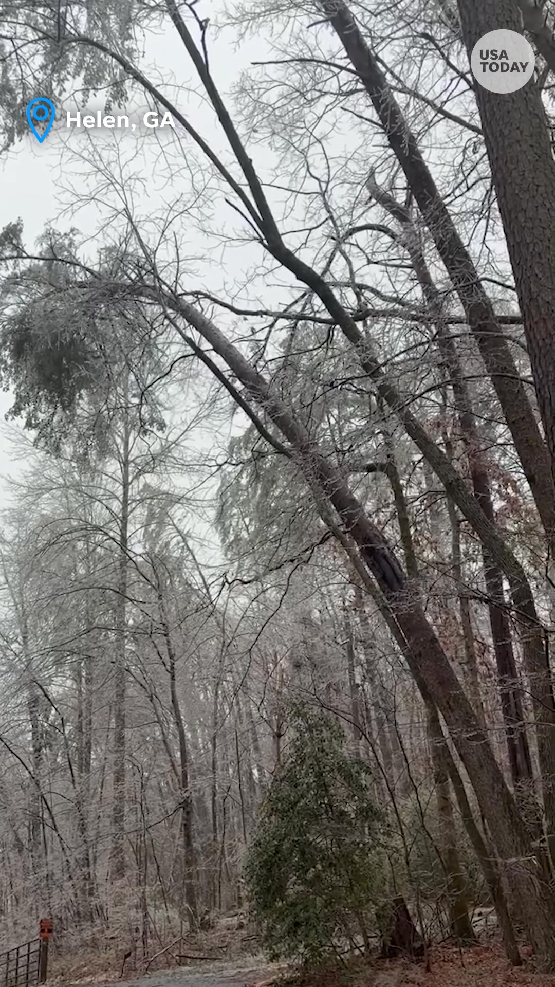 Ever heard suspicious loud cracks that sound almost like gunshots ...