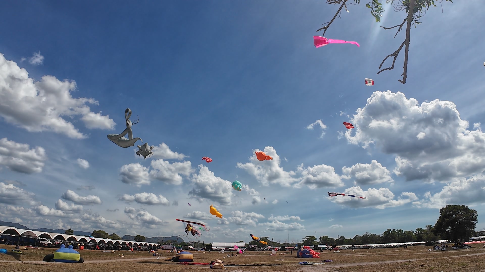 Satun... - Satun Kite Festival : ว่าว ประเพณีจังหวัดสตูล | Facebook