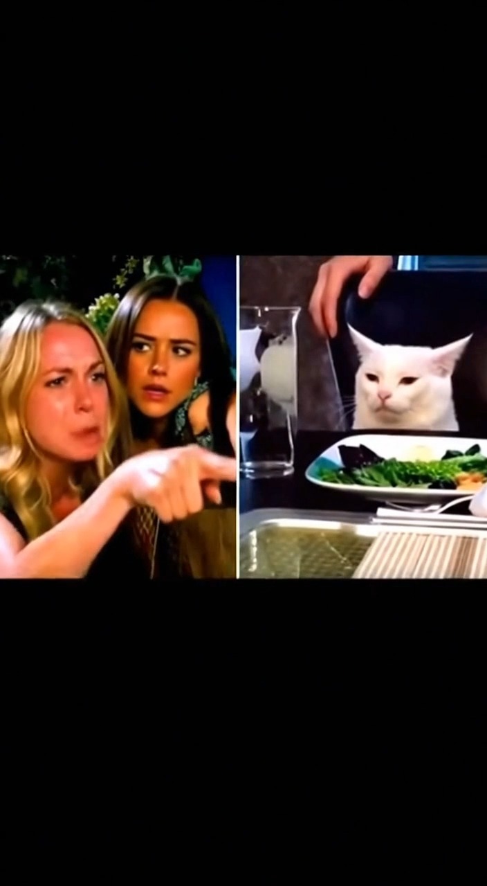 Angry Yelling Woman vs White Cat 🤯😾 #cat #whitecat #split #funnymemes # ...