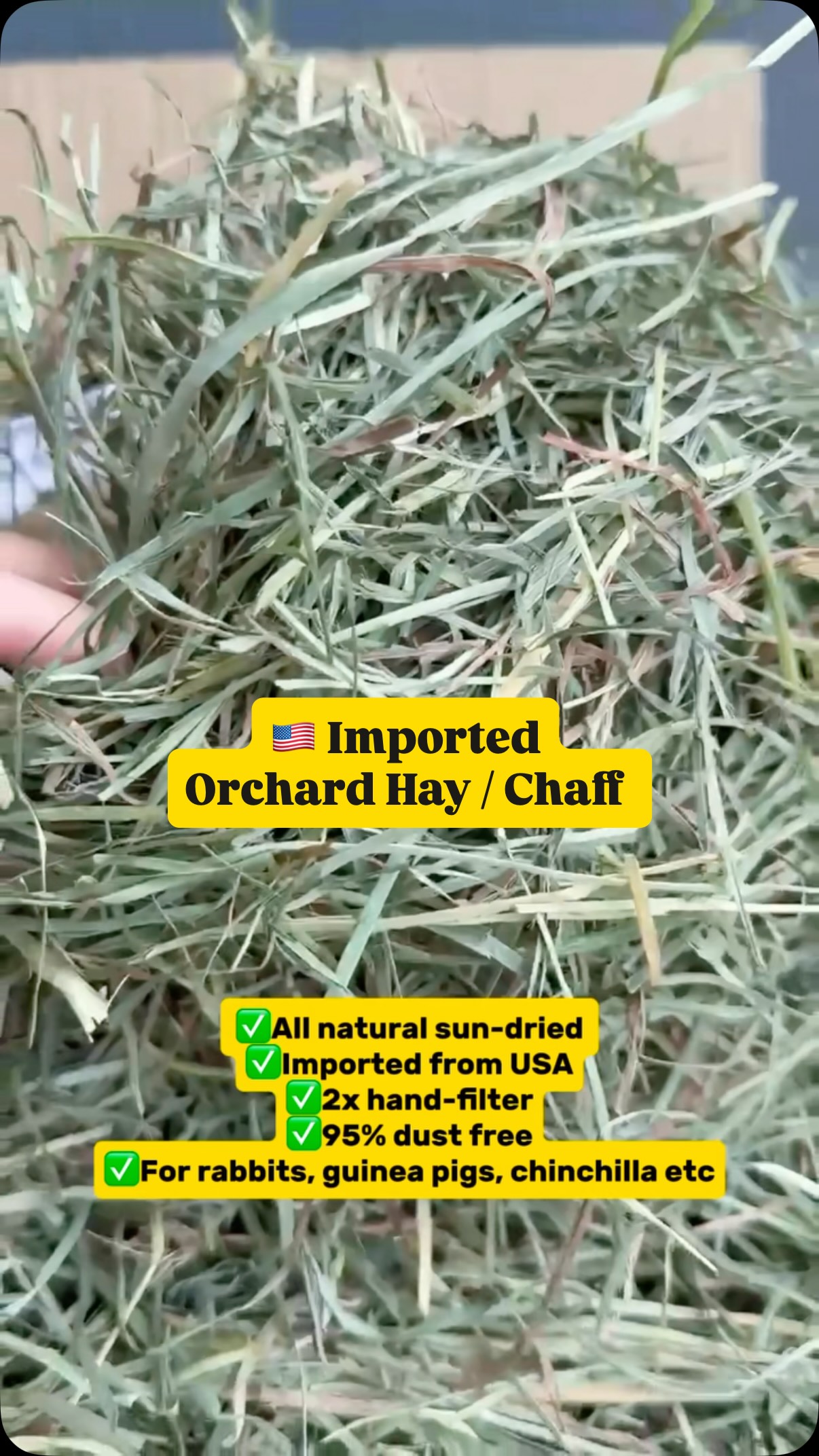 Ready Stock 🇺🇸 US imported 🌾 Sun-dried orchard hay / chaff 2️⃣-time ...