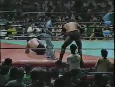 ジャンボ鶴田VS天龍源一郎